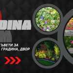 Финансова и правна грамотност за ученици – полезни съвети